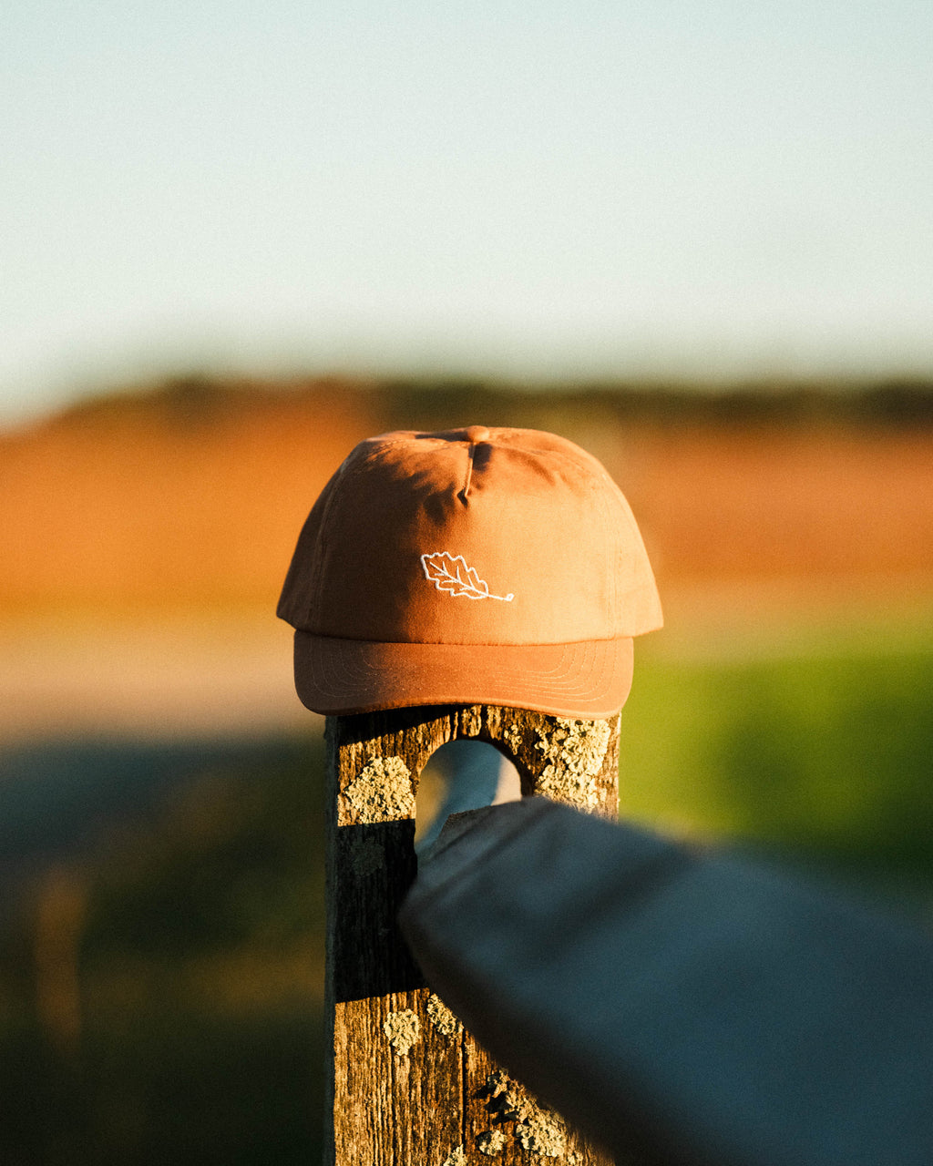 Juno Hat Stetson Juno – Petticoat Junction main image 4